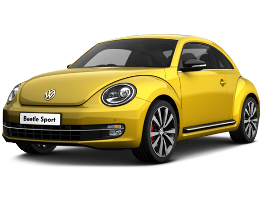 Фотография Beetle